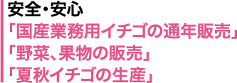 安全・安心な「国産業務用イチゴの通年販売」と「夏秋イチゴの生産」